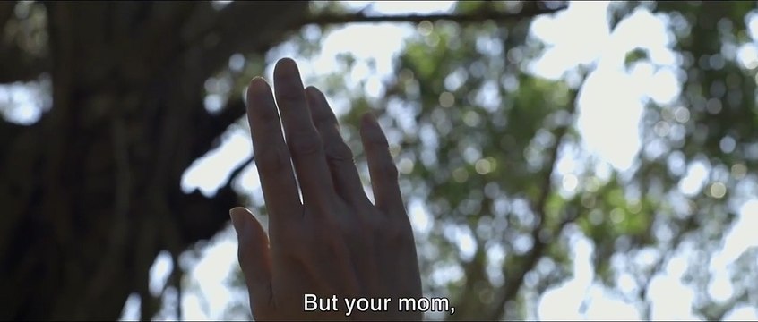 Aguas tranquilas Tráiler (2) VO