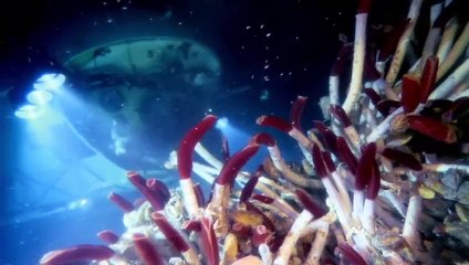 James Cameron&#039;s Deepsea Challenge 3D Trailer Original
