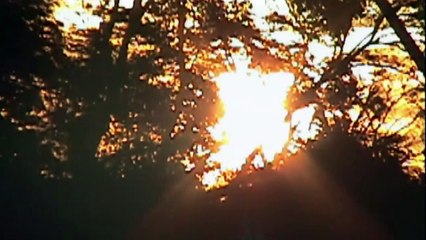 Flashback Memories Trailer Original