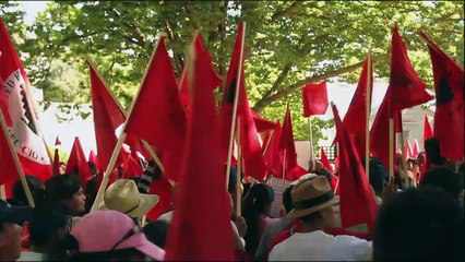 Food Chains Teaser Original