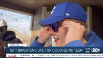 Gift brightens life for colorblind teen
