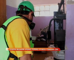 Chiapas mulakan operasi perangi nyamuk pembawa ZIka