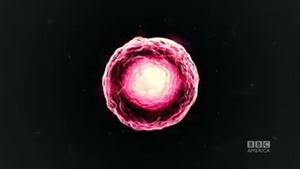 Orphan Black 3ª Temporada Teaser