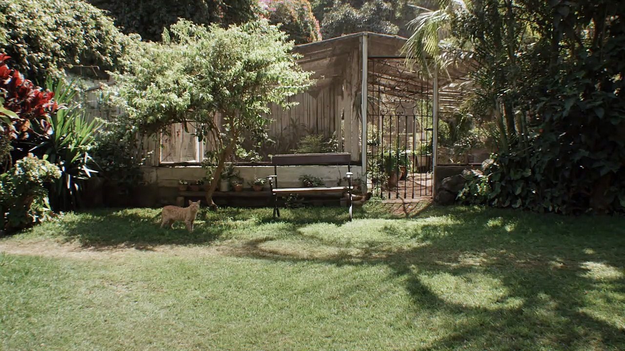 Casa Dentro Trailer Legendado