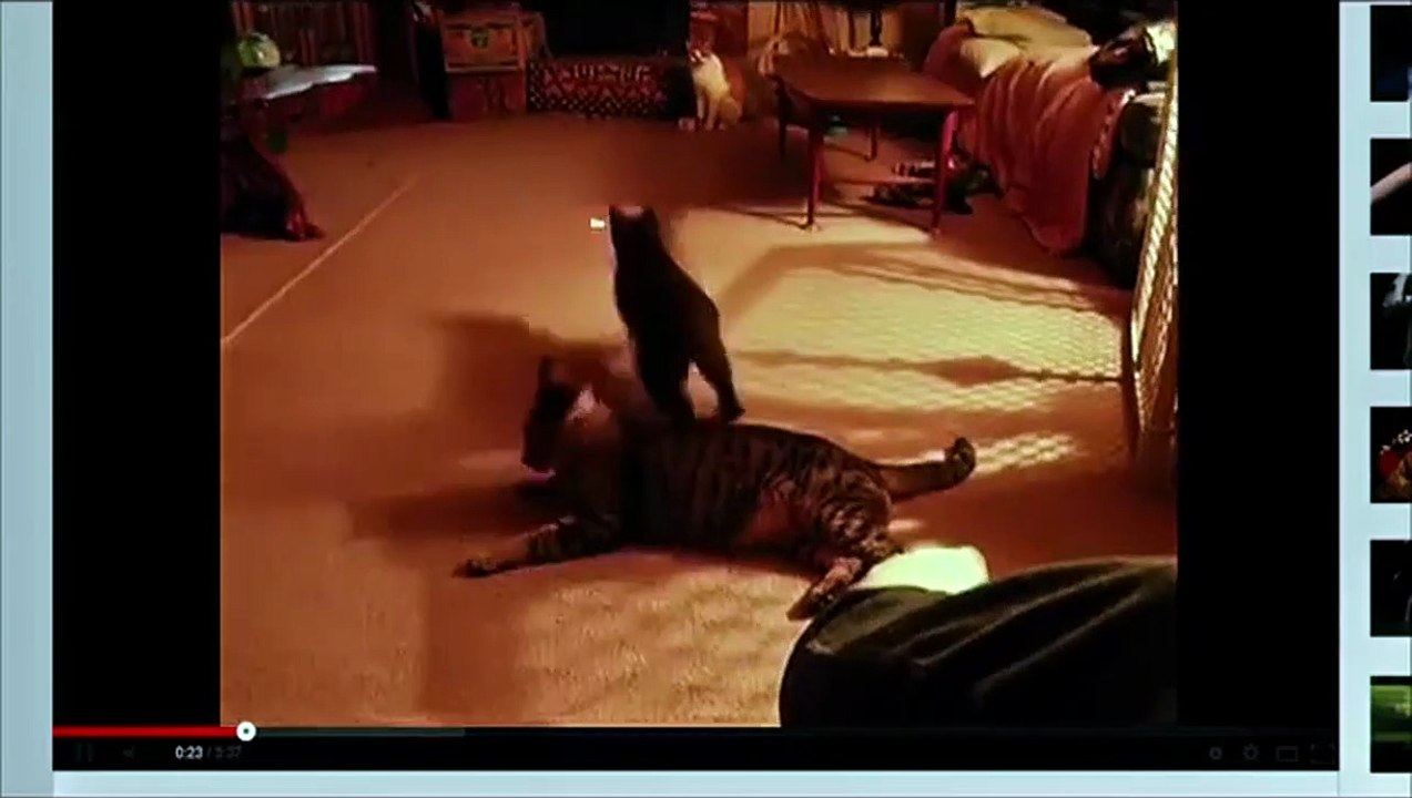 Uma Noite No Museu 3 Trailer Dublado