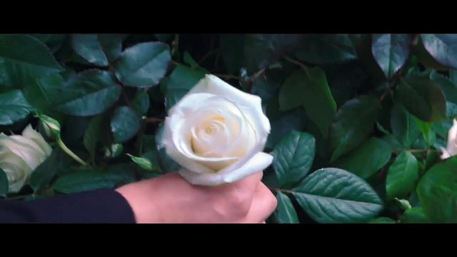 Los juegos del hambre: Sinsajo - Parte 2 Tráiler (3) VO