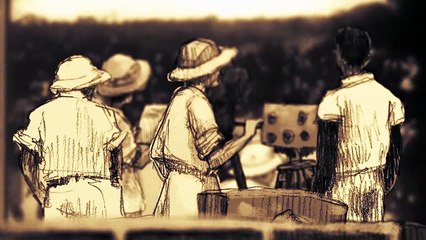 Un día vi 10.000 elefantes Tráiler