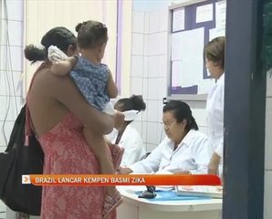 Brazil lancar kempen basmi Zika