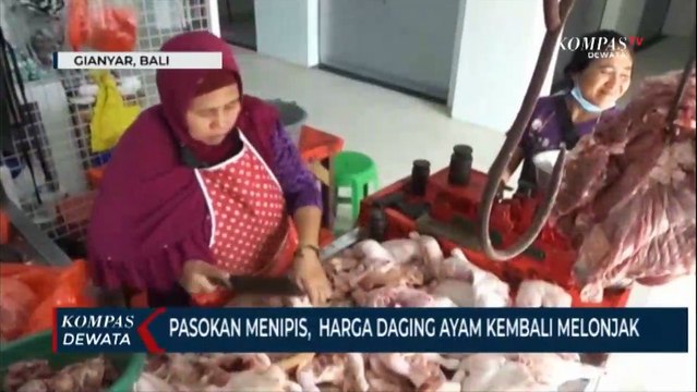 Stok Menipis, Harga Daging Ayam Kembali Melonjak