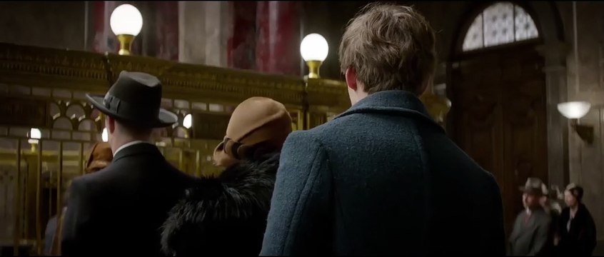 Animales fantásticos y dónde encontrarlos Tráiler (4)