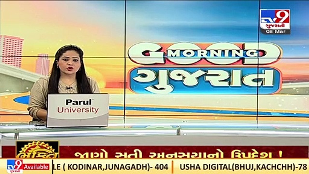 52 bird hit accidents at Surat Airport, Social organization urges to remove grass fields _ TV9News