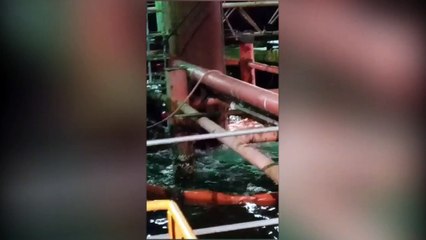 LMCS SEEKS PRIVATE AUTOPSIES FOR DIVERS