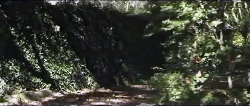 Je m'appelle Bernadette Tráiler VO