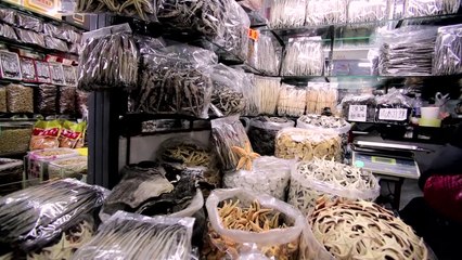 A Corrida Contra a Extinção Trailer Original