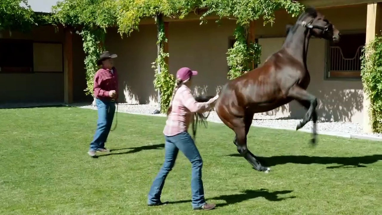 50-to-1-trailer-original-video-dailymotion