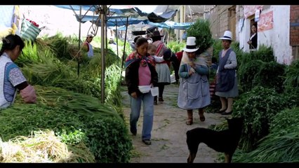 Chicas Nuevas 24 Horas (2) Trailer Original