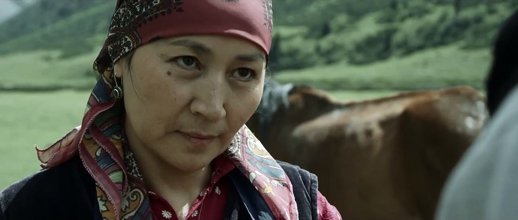 Heavenly Nomadic Trailer Original