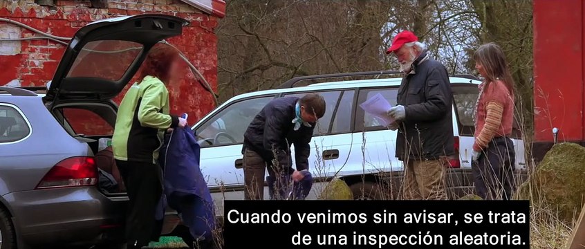 Vendrán tiempos mejores Tráiler VO