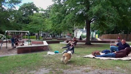 Remanescente Trailer Original