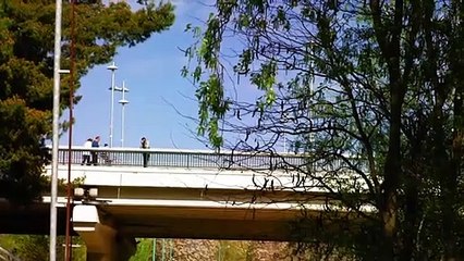 600 años sin descanso. El Papa Luna Tráiler