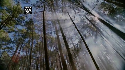 Salem - season 3 Teaser VO