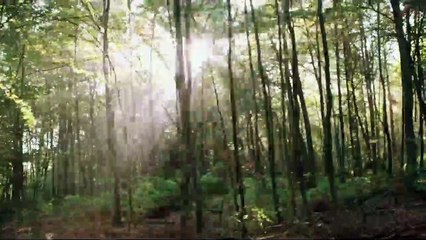 Blair Witch Tráiler VO