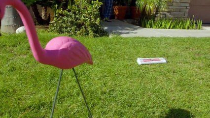 Brooklyn Nine-Nine - season 4 Tráiler VO