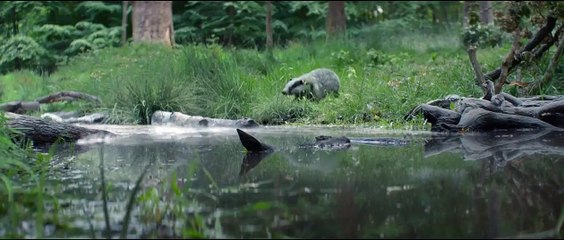 O Caçador e a Rainha do Gelo Trailer Legendado