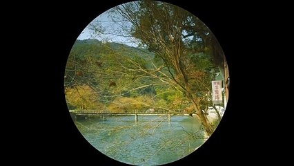 Yo no soy Madame Bovary Tráiler (3) VO