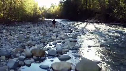 El tirador Teaser VO