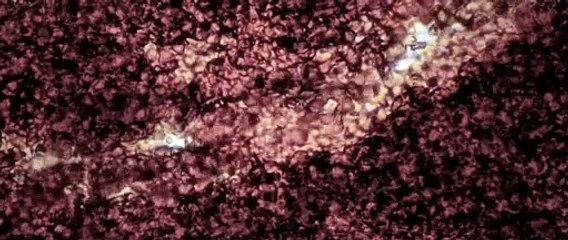 Closer to God Trailer Original