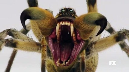 American Horror Story - season 6 Teaser VO