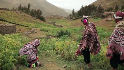 Seeds of Time Trailer Original