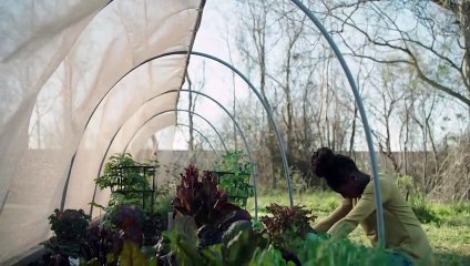 Queen Sugar Tráiler VO