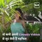 Actress Mouni Roy's Dance Videos Are Setting Major Dance Goals For Netizens