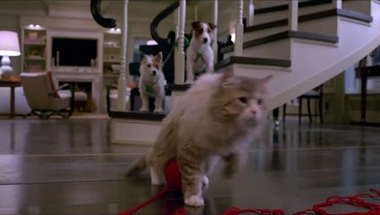 Siete vidas, este gato es un peligro Clip (3) VO