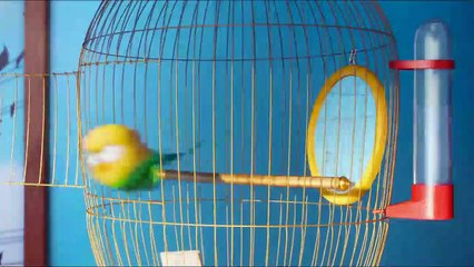 Pets - A Vida Secreta dos Bichos Trailer Original
