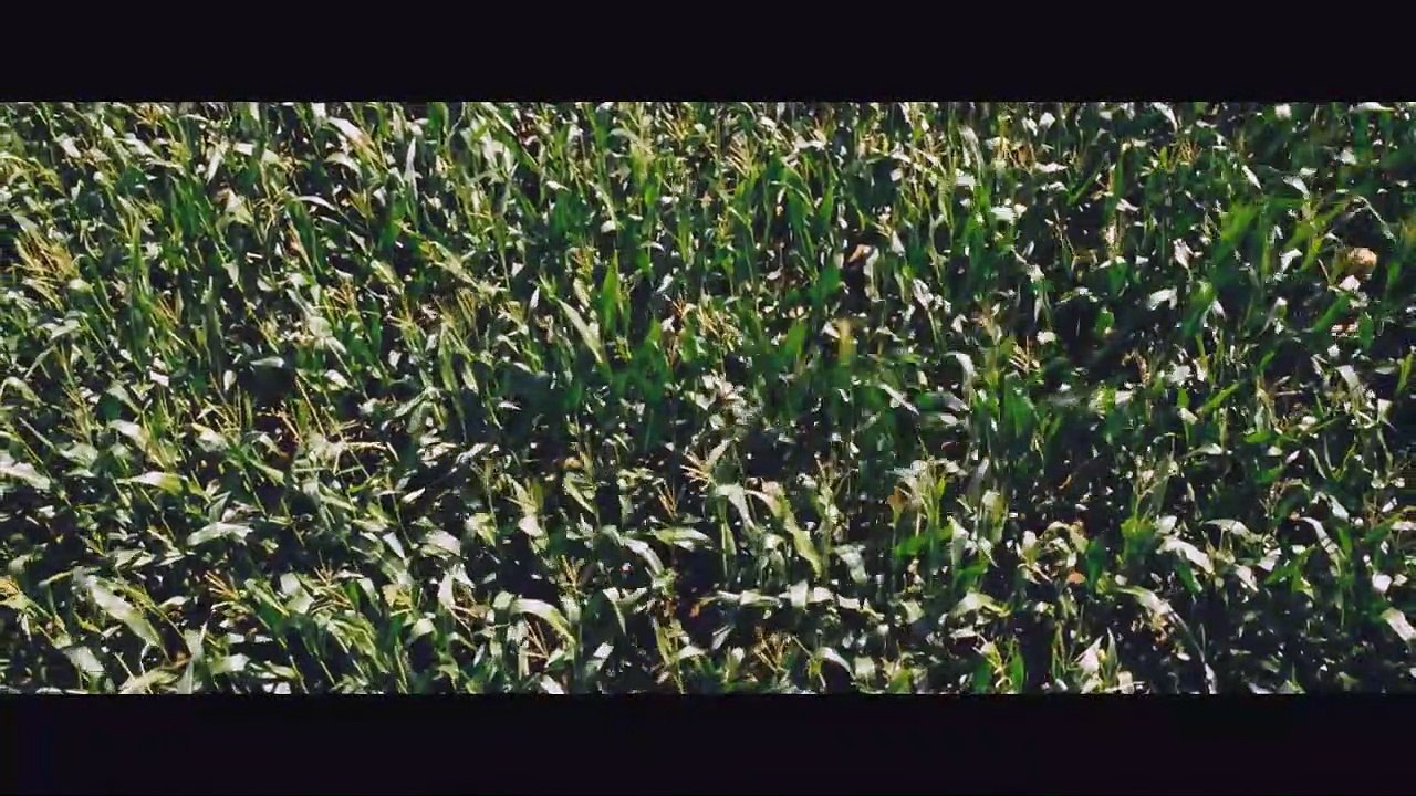 Boa Noite, Mamãe! Trailer Legendado