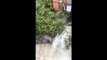 Manly Dam spills over as heavy rainfall continues in Sydney | March 8, 2022 | ACM