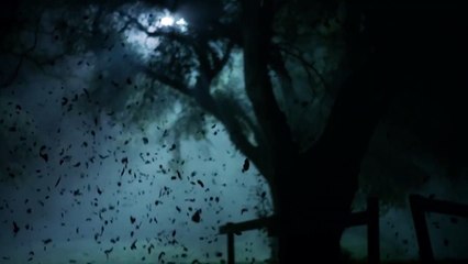 Teen Wolf - season 6 Teaser (2) VO