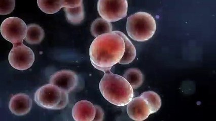 Cleverman Tráiler VO