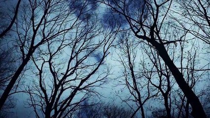 Orphan Black 4ª Temporada Teaser (4) Original