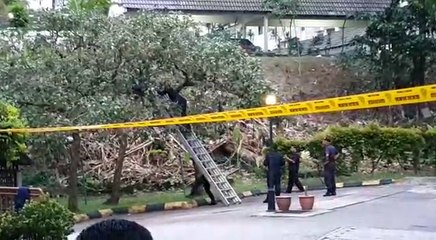 Penduduk kondo lega bungkusan mencurigakan di atas pokok bukan bom