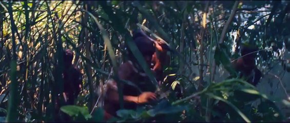 Z, la ciudad perdida Tráiler (2) VO