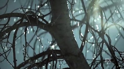Fargo 2ª Temporada Teaser (10) Shoe Tree Original