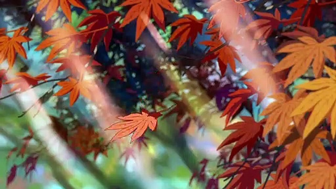 Your Name Tráiler