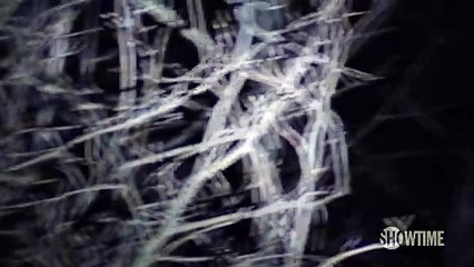 Twin Peaks - season 3 Teaser (4) VO