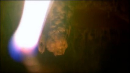 Altamira: Desde siempre para siempre Tráiler