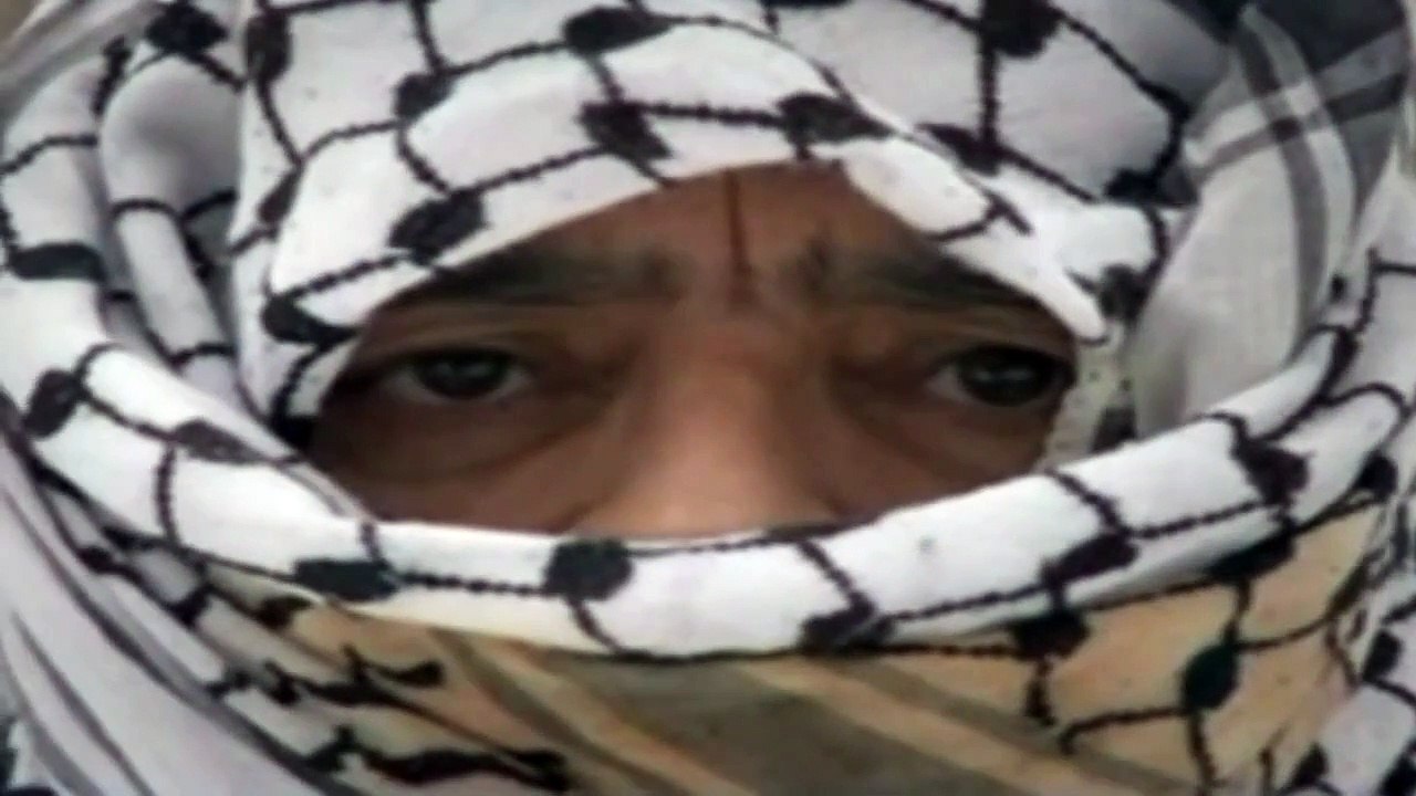 A Ira da Tartaruga Trailer Original