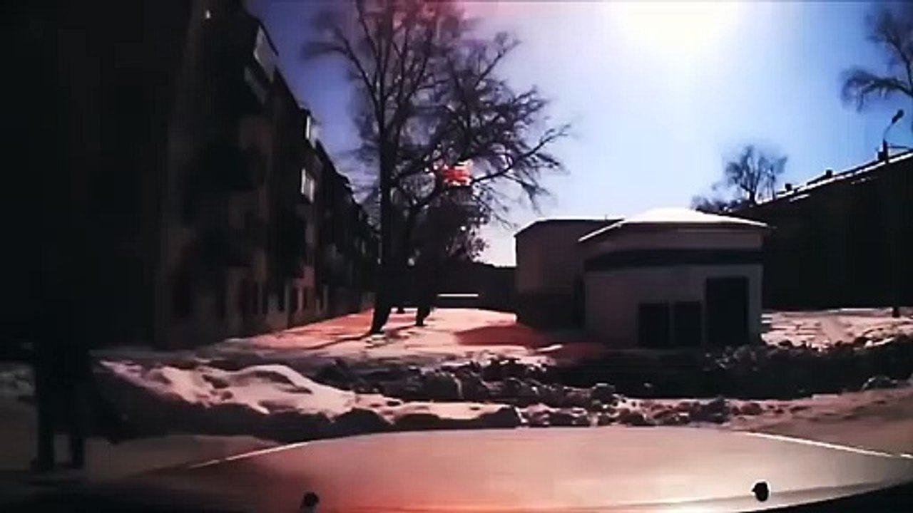 Roadside Picnic Tráiler VO